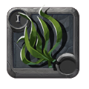 Alga