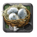 Ovos de Galinha
