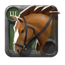 Cavalo de Montar do Iniciante