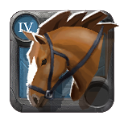 Cavalo de Montar do Adepto