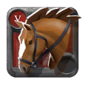 Cavalo de Montar do Perito