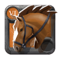Cavalo de Montar do Mestre