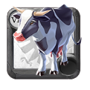 Vaca